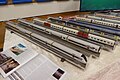 Some models of the IC3’s trains