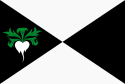 Vlag van Lokeren