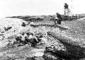 Image 70Excavation of the Ertebølle middens in 1880 (from Atlantic Ocean)