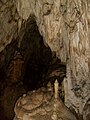 Vârtop Cave
