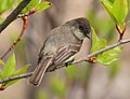 Taken at Cap Tourmente National Wildlife Area, Quebec