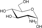 Image illustrative de l’article Glucosamine