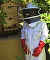 protective equipment for beekeeping