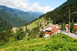 De Ayder yayla (zomerweide)