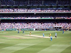 भारत-आस्ट्रेलिया क्रिकेट मैच में मैदान के घास