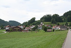 Burghügel der Burg Bichelsee