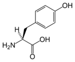 Struktur kimia Tirosin