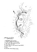 Croquis du château de Faîte.