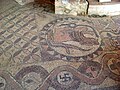 Mozaike romake në vendin e gërmimit Pllaoshnik (Plaošnik)