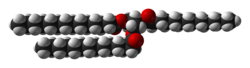 Space-filling model of trimyristin