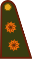 Argentina: General de brigada