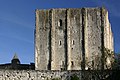 Donjon de Loches