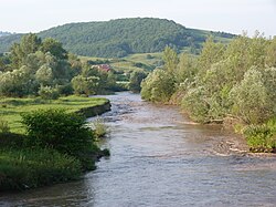 Řeka Târnava Mică, jedna ze zdrojnic řeky Târnavy