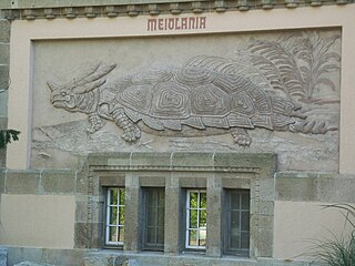 Bas-relief de Meiolania par Heinrich Harder, 1916