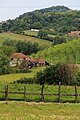 Gornja Bukovica - panorama