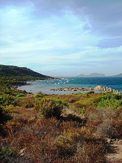 Anvista de Cala Ginepro, en Santu Tiadoru