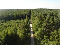 Bosque de Orleans