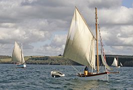 Oyster boats of the Truro oyster fleet. This fishery is the last in the world to work by sail alone