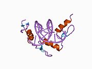 1a1i: RADR (ZIF268 VARIANT) ZINC FINGER-DNA COMPLEX (GCAC SITE)