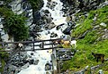 Hausziegen auf und bei der Holzbrücke über den Jungbach des Wanderwegs von St. Niklaus Dorf auf die Alp Jungen (Jungerweg).