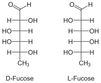 Struktur von Fucose