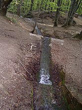 Les premiers mètres du cours du Tibre.