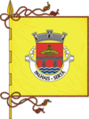 Bandeira de Palhais