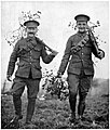 En 1902 o uniforme de campaña caqui converteuse en estándar no exército británico