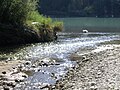 Der Allondon trifft im Ramsar-Schutzgebiet auf die Rhône (Schweiz)