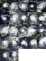 All Category 5 Atlantic hurricanes between 1980 and today.