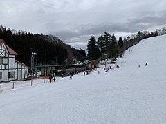 Fuyutorigoe Ski Garden, Kamo, Niigata, Japan, February 2023.jpg