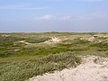 Dunes near Sint Maartenszee, Netherlands