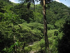 Serralada de Agalta Olancho