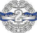 2nd grade Specialist Badge