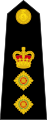 Plukovník – Colonel – British Royal Marines