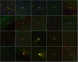 Mozaik dvajsetih kometov, ki jih je odkril vesoljski teleskop WISE