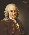 Carolus Linnaeus (1775)