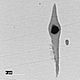 Photo d'une inclusion d'acier prise en microscopie