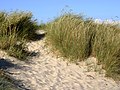 Grenen, Denmark