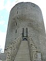Donjon van het kasteel van Bridiers