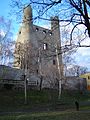 Burgruine Hoher Schwarm, Thüringen, Deutschland