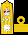 イギリス海軍の代将の袖章および肩章(2004年以降)