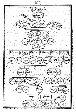 Family Lineage of Pashtun Tribe Mughal Khel