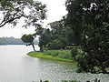 Image 30Upper Seletar Reservoir (from Geography of Singapore)