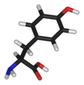 Struktur kimia Tirosin