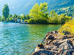 Mündung der Muota in den Vierwaldstättersee bei Brunnen