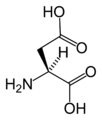 L-Asparagiinihappo (Asp / D)