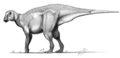 Gryposaurus um ornitópode