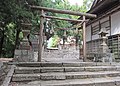 Shinmei torii