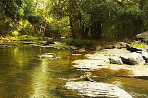 Plus la rivière ralentit son cours, plus elle s'approche du piémont, une région forestière peu peuplée et protégée par divers parcs nationaux.